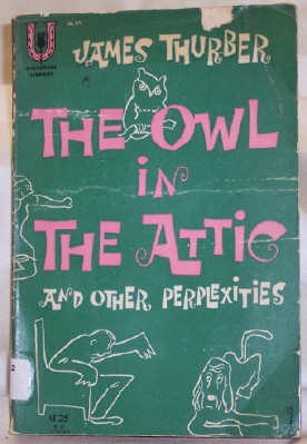 Image for The Owl in the Attic and Other Perplexities