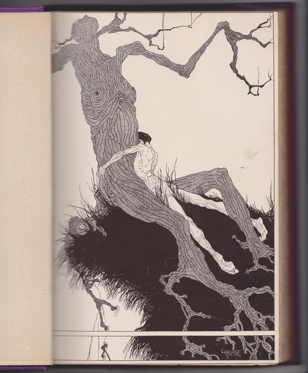 Image for Fantazius Mallare