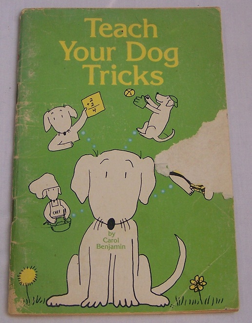 Image for Teach Your Dog Tricks
