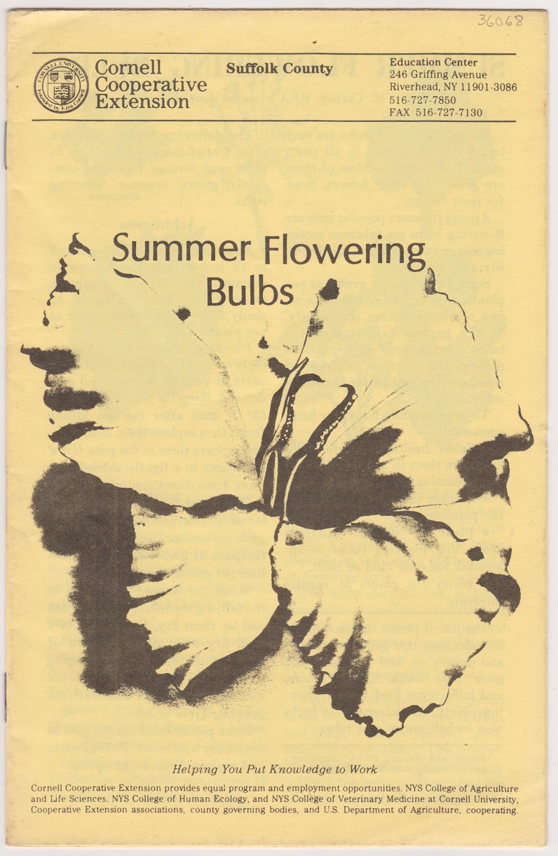 Image for Summer Flowering Bulbs