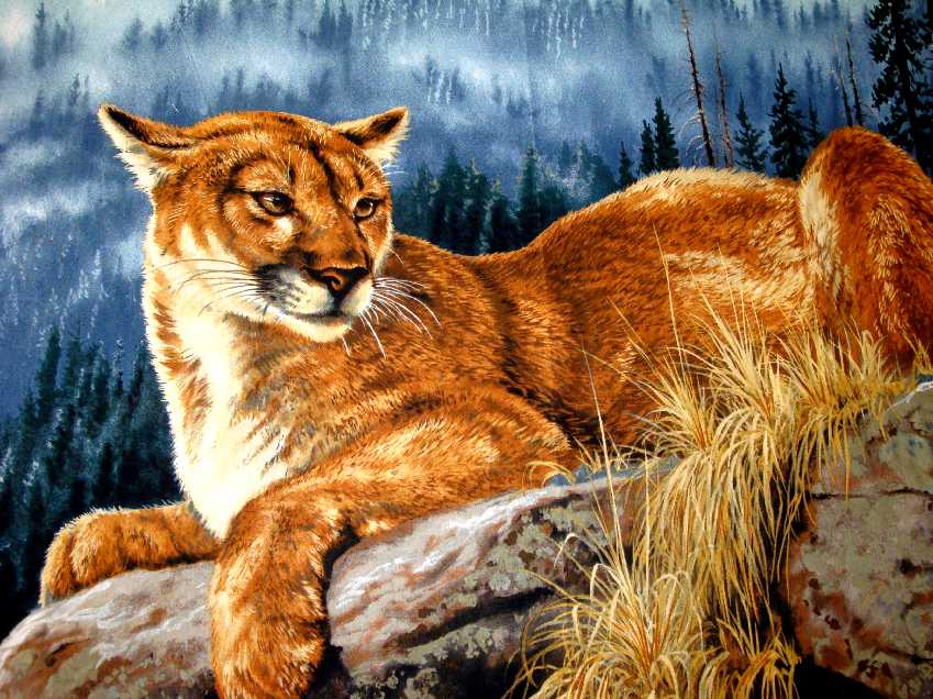 MOUNTAIN LION Fabric Quilt WALL PANEL  